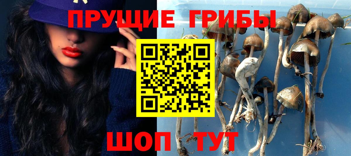 Галлюциногенные грибы Psilocybine cubensis  Вход с VPN  Новоуральск  Галлюциногенные грибы MAGIC MUSHROOMS 